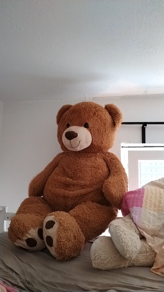 GlasbierrangerI's tweet image. Shüüüsh kuck ich hab auch zwei Plüschis. Meine 2 Bären halten tapfer jede Nacht Wache. Tagsüber chillen sie auf meinem Doppelhochbett. Da ist viel Platz für alle. 🤎🐻🧸 #chillhouse #ChillArea #teddynowstreaming #TEDDYISLAND
