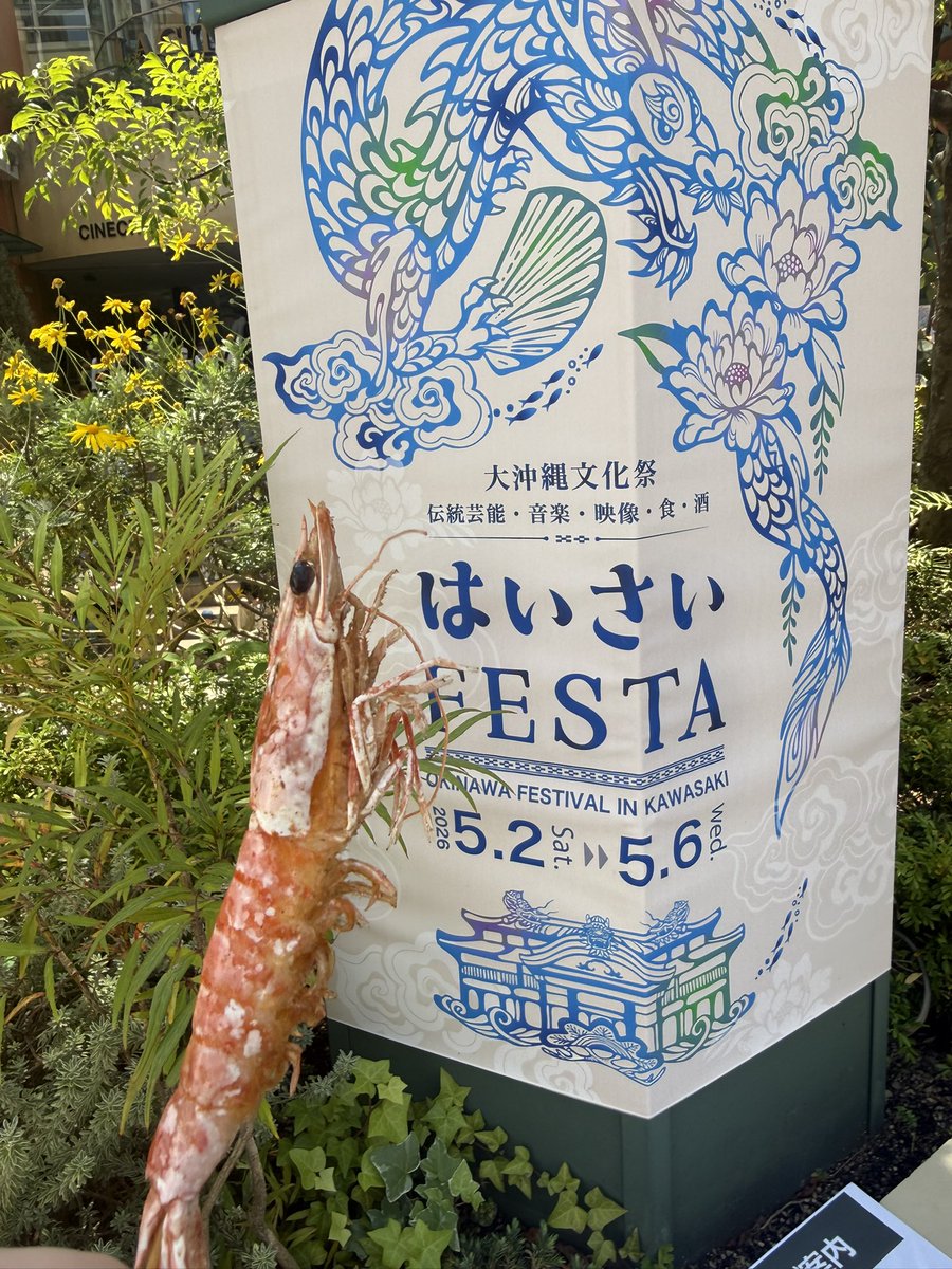 naaaaas2425's tweet photo. はいさーい🌺 https://t.co/neZJ4GhAhK