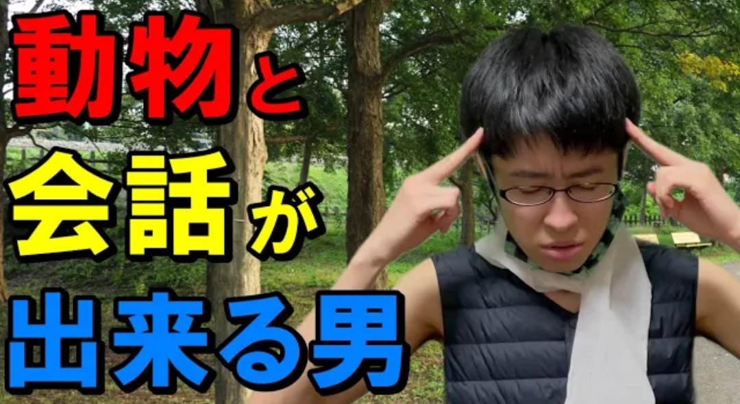 コカポンカス tweet media