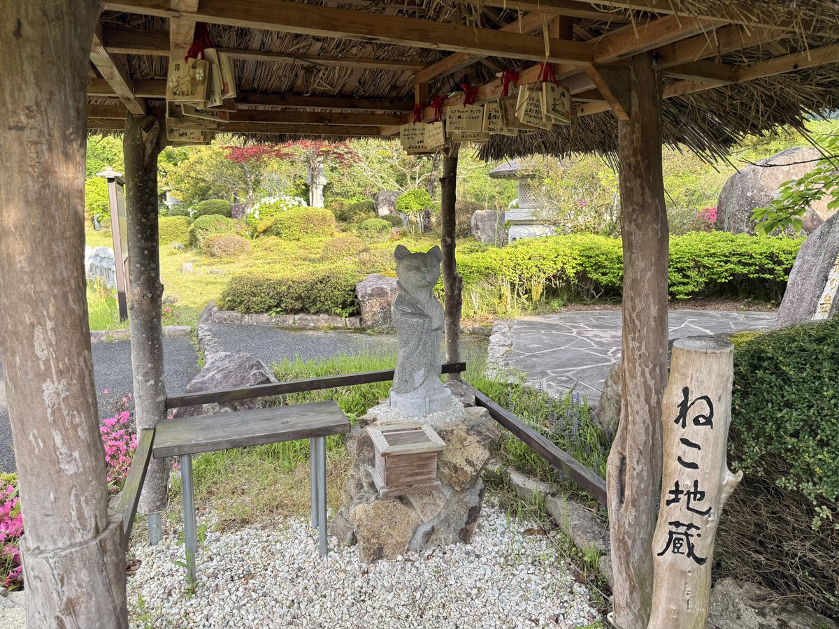 なしろ(エビフリャー🦐) tweet media