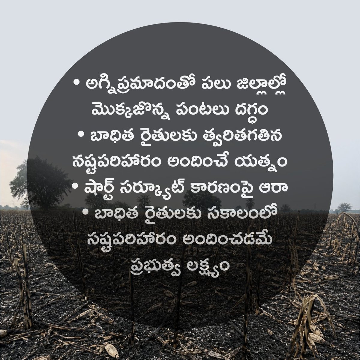 WithKotaNeelima's tweet image. అగ్ని ప్రమాదంలో నష్టపోయిన రైతులను ఆదుకునేందుకు ముందుకు వచ్చిన సర్కార్
• అగ్నిప్రమాదంతో పలు జిల్లాల్లో మొక్కజొన్న పంటలు దగ్ధం
• బాధిత రైతులకు త్వరితగతిన నష్టపరిహారం అందించే యత్నం
 • బాధిత రైతులకు సకాలంలో సష్టపరిహారం అందించడమే ప్రభుత్వ లక్ష్యం
#Telangana #PrajaPalana #WildFire
