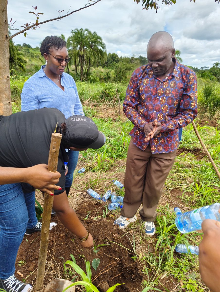 RotaryStars's tweet photo. KMS Tree planting project ongoing in Hoima, kudos to those who joined https://t.co/rPLv8qHAhR