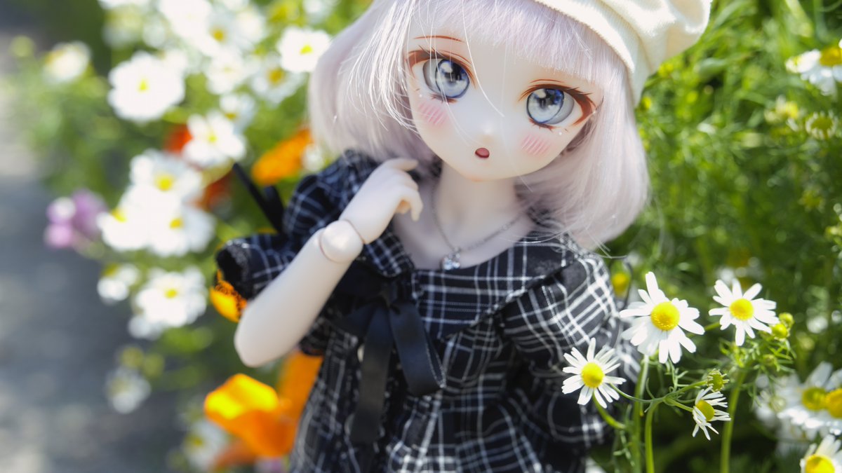 RT @NIKOx2Hurtman: #みるき〜娘 #うちのこかわいい