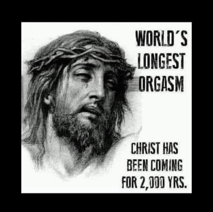 Sentinel Island Chief🌐 tweet media
