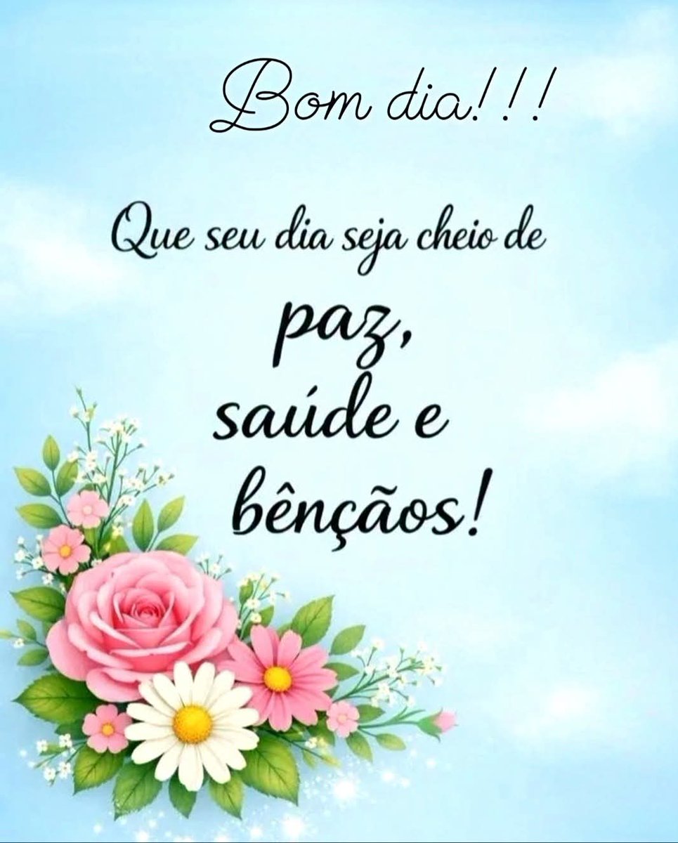 Aninha tweet media