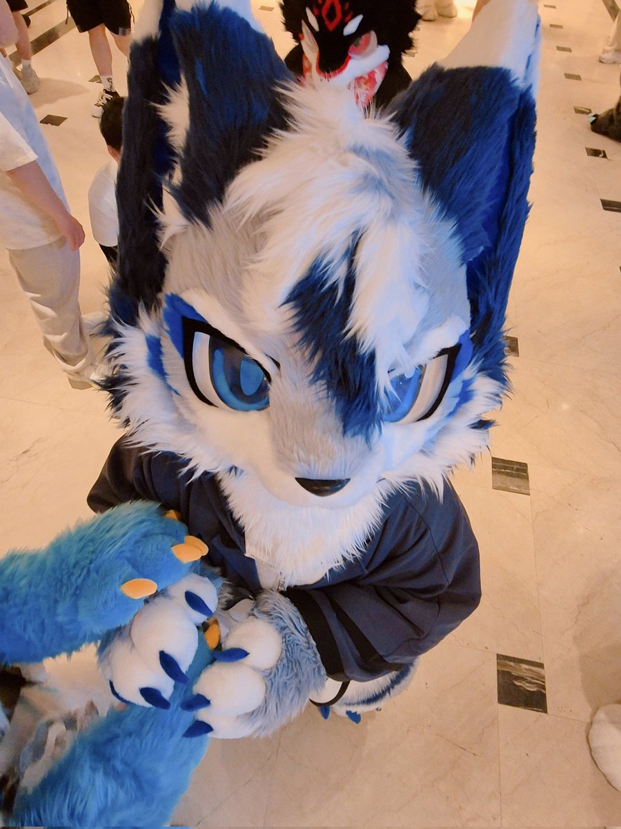 夜夜(MN) ️Hi furry (@MNnights) / Posts / X