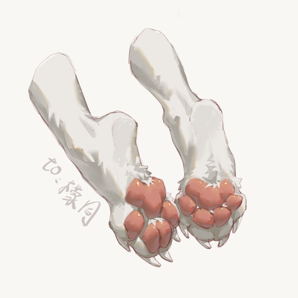 是闪闪鱼呀 tweet media