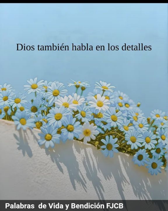 Anmarielly Henríquez tweet media