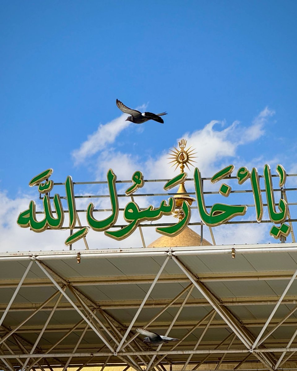 ♡ 𝙎𝙮𝙚𝙙 𝙈𝙤𝙖ظ𝙖𝙢 𝙉𝘼ق𝙑𝙄 ♡🇵🇰 tweet media
