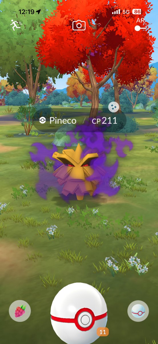 GcJords's tweet image. Shadow Entei Raid day! 🔥

Managed to hit 70 raids on our 12 raids per 1/2h gym loop, only missing 2! 

3.1mil xp (inc friendship)
5 shiny inc shadow shiny pineco! 
0 hundo (Stupid Iv spread) 

Always a Fun time full of laughs with the crew! 🫱🏻‍🫲🏼 #pokemongo #niantic #entei
