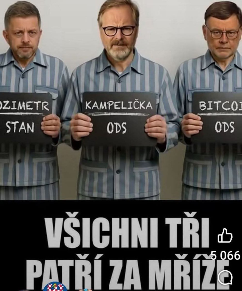 Petr Bradáč tweet media