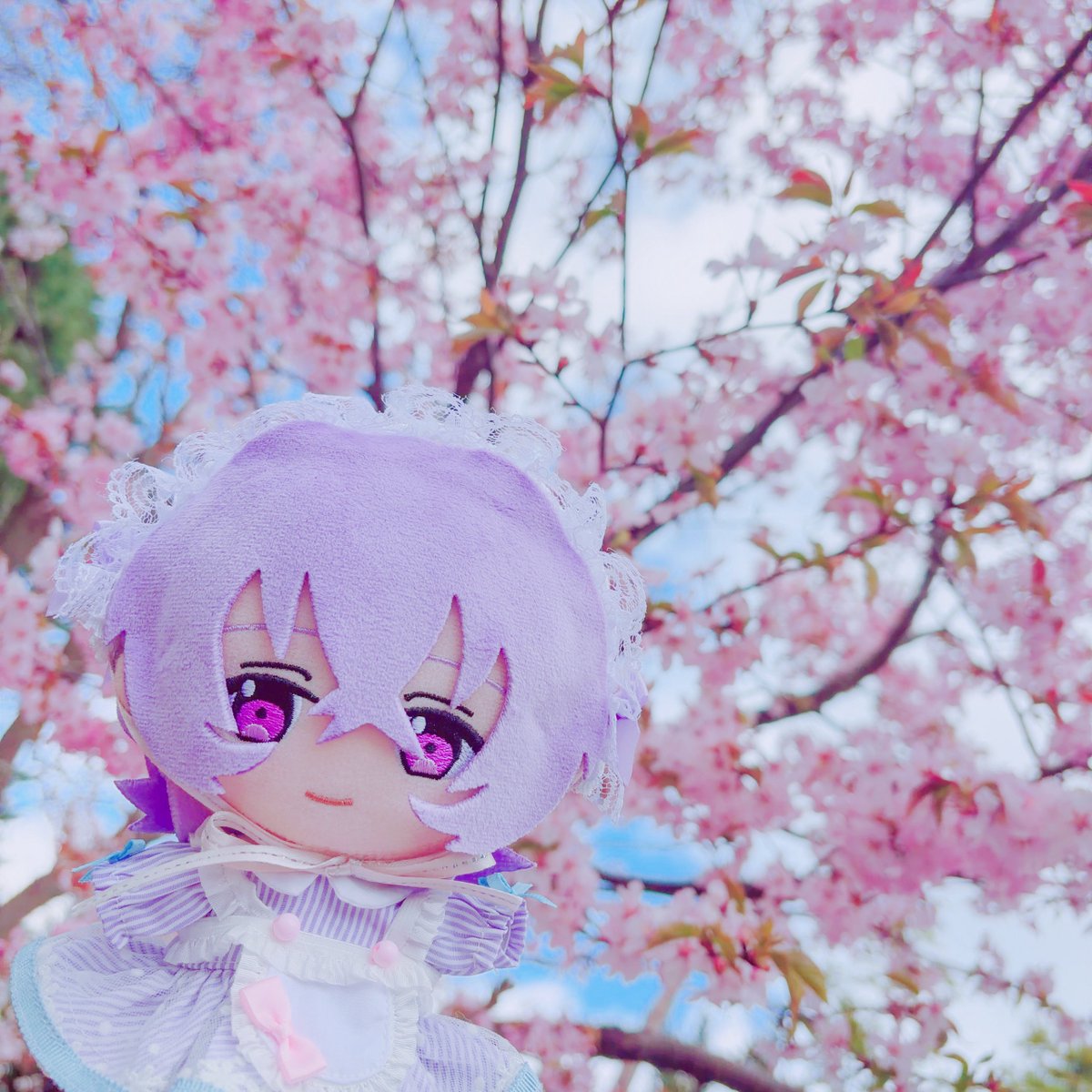 ໒꒱· ﾟ tweet media