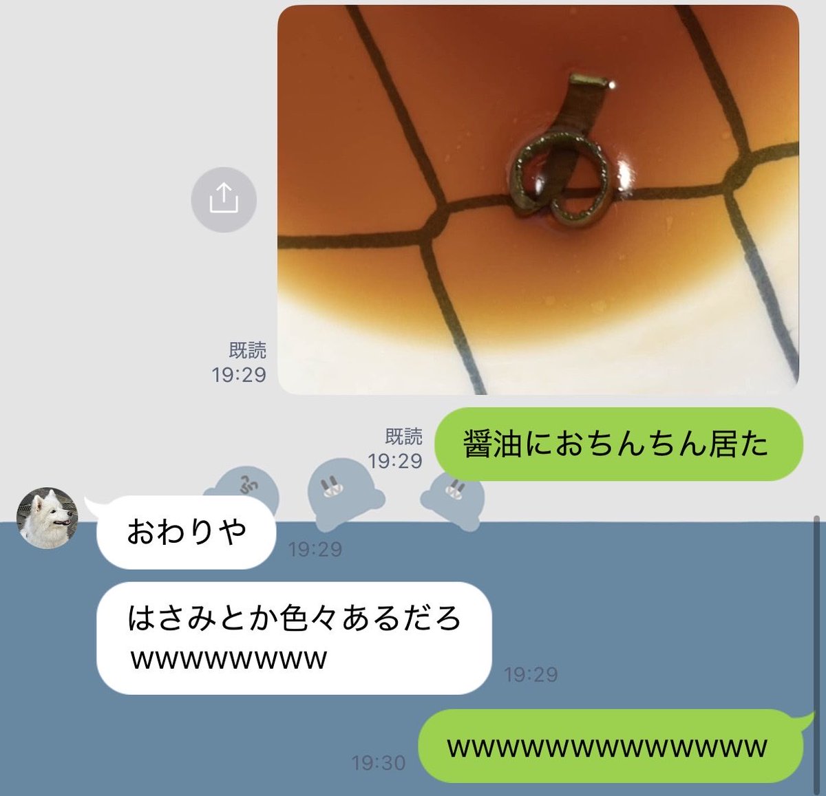 inusatoooo's tweet photo. 覚えて下さい、これが犬ですよ https://t.co/Ub7Pw6Xw16