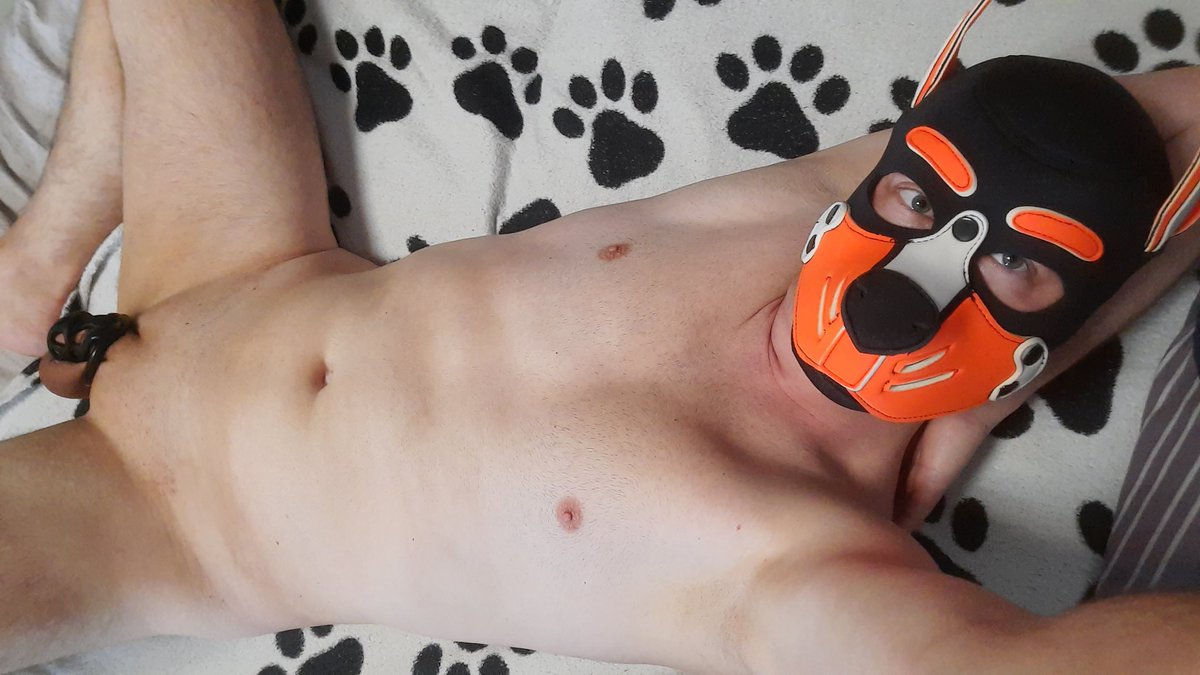 nike_splke's tweet photo. Locked puppy🐕🔒 #pup #puppy #locked https://t.co/NsMc3i8OXL