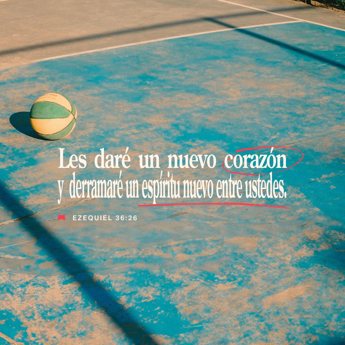 Danny Morel tweet media