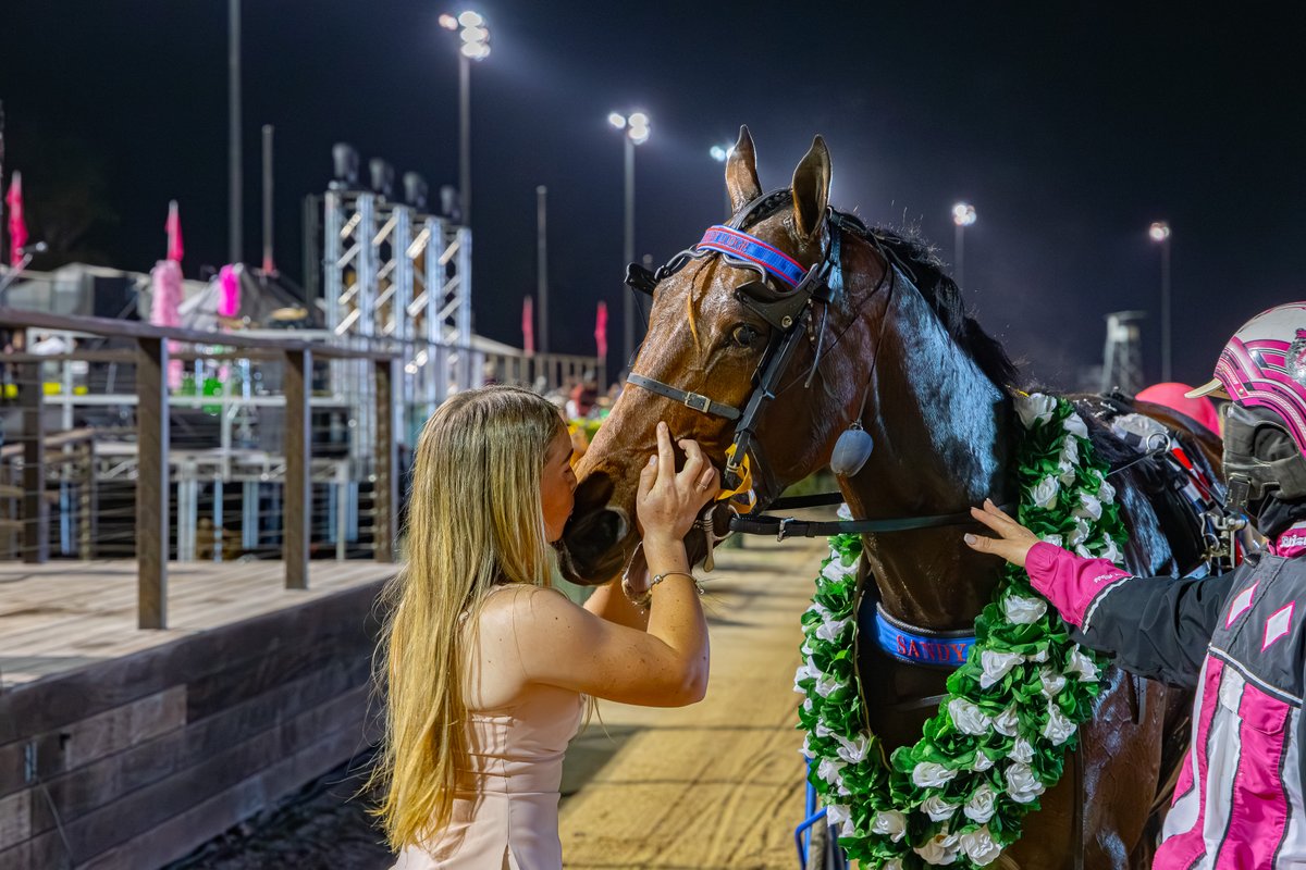 Club Menangle tweet media