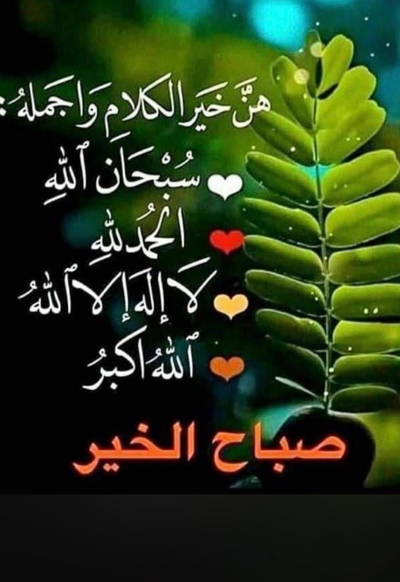 أبن الفيحاء(مدينتي) tweet media