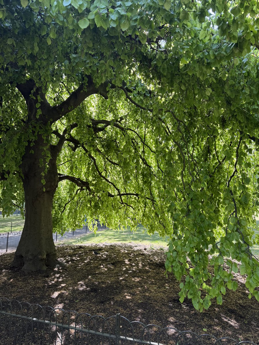 bmay's tweet image. Glorious. ☀️ #London