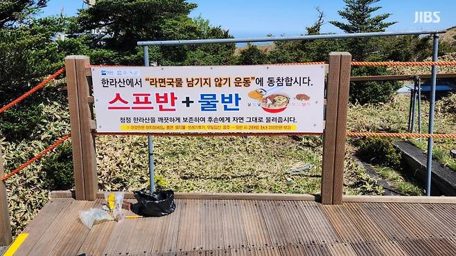 완두콩 공주🕯️ tweet media