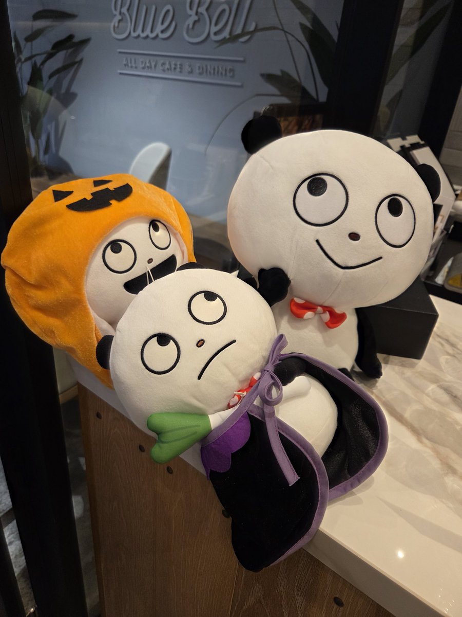 panda_gokigen's tweet image. ラグジュアリーパーティ楽しかったね🐼🧛‍♂️🐼🎃ラグジュアリーがわからないからハロウィン仮装させたけどエモいから多分大丈夫
春巻きめちゃうまでした🍽
#Ｔｈｅ　Ｂｌｕｅ　Ｂｅｌｌ　Ｌｕｘｕｒｙ　Ｐａｒｔｙ　ｍｅｅｔｓ　ｓｔｕｄｉｏ ＵＧ 
#アフターパーティー
#スタジオUG
