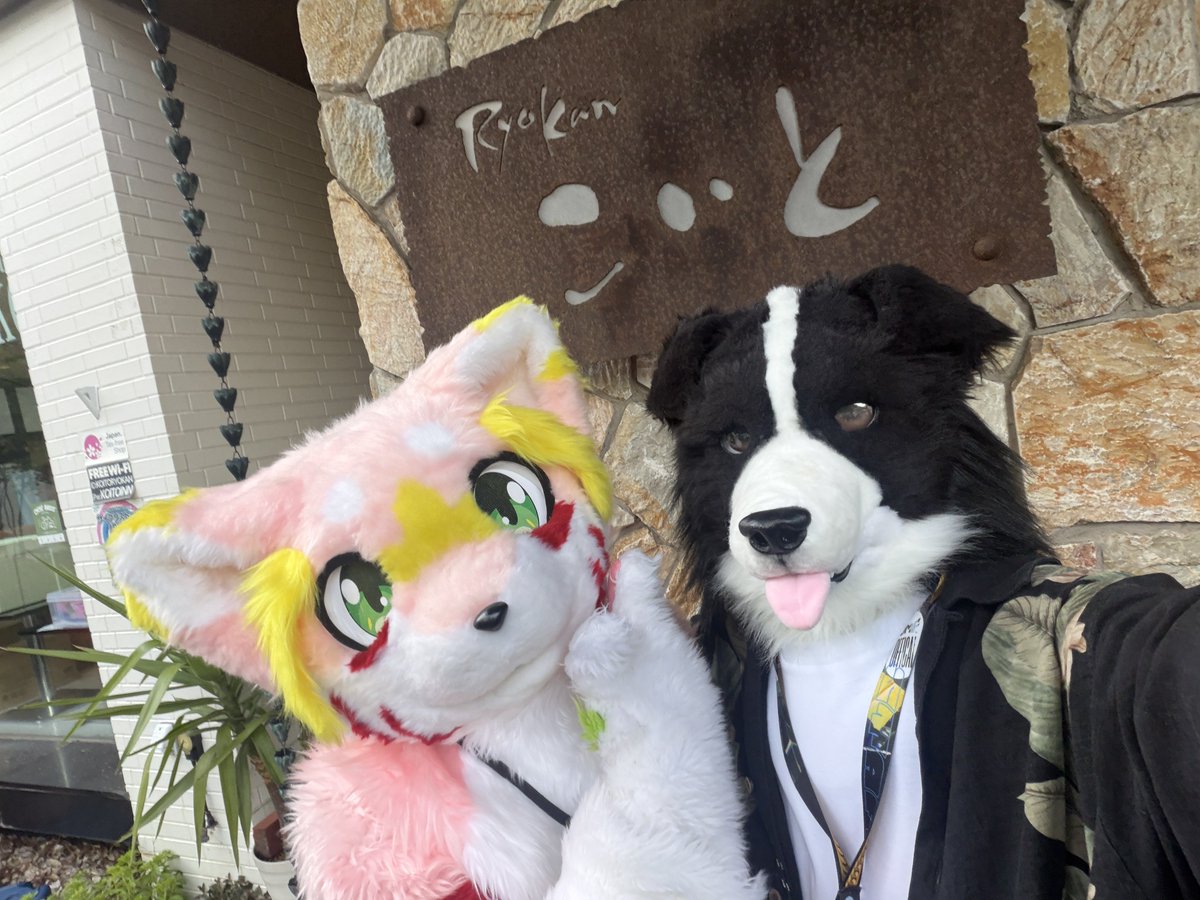 Coel_bodacco's tweet photo. たのしーね！
 #kemotopia2 https://t.co/AjXGpoEq8g