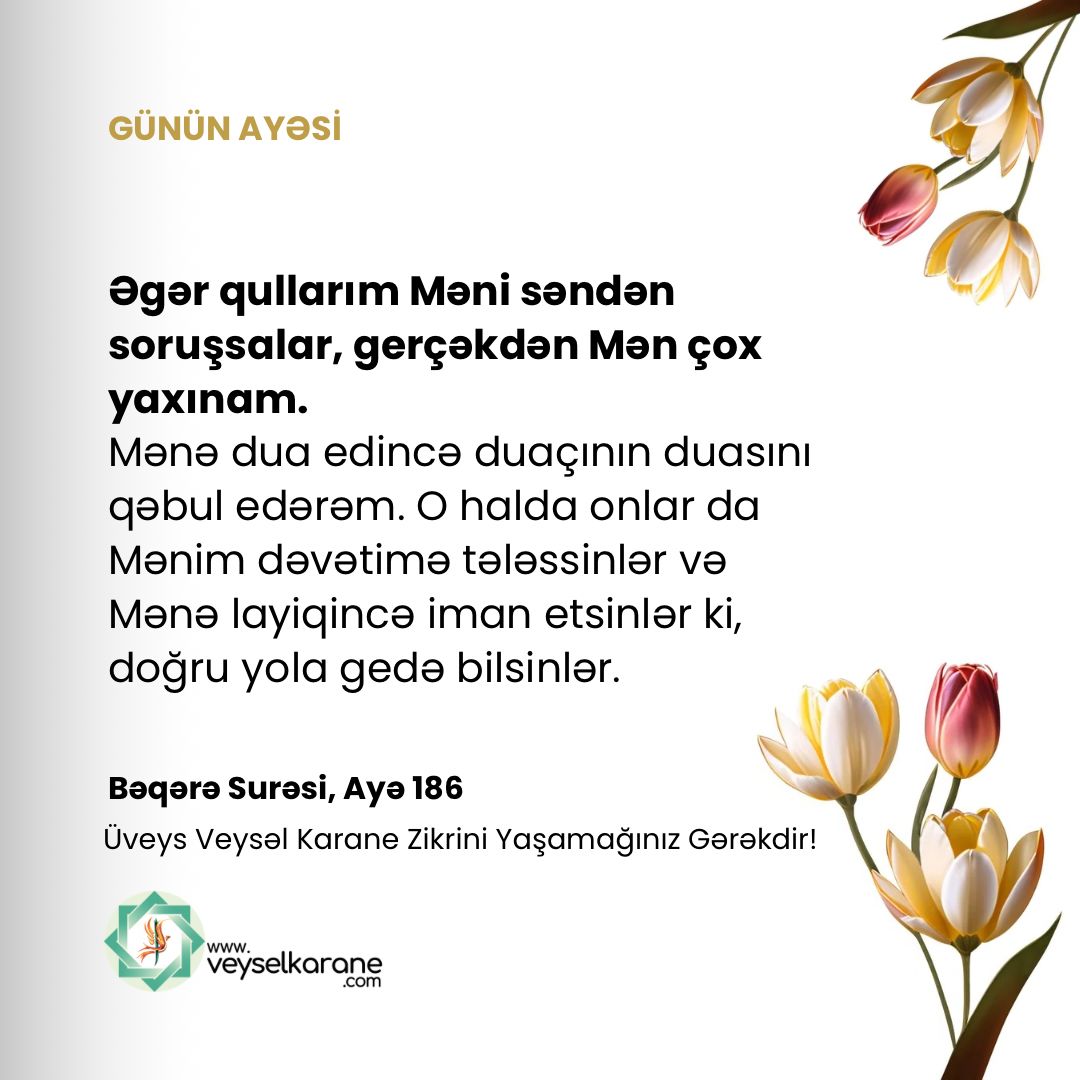 Karaku3Web's tweet photo. https://t.co/EL4GbfLMpw https://t.co/8IIlhQqcit