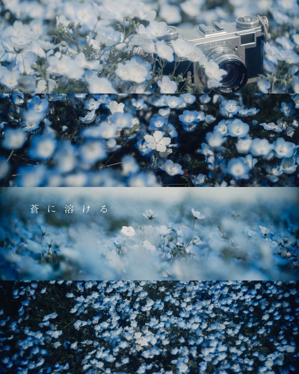 未 空 │ ᴍ ɪ ᴋ ᴜ ☁️ 個展6/12-14 tweet media