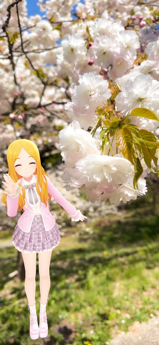 日本国花苑の松月桜と聖ちゃん
さくらもち かわいいね🥰
#満月だから望月聖 
#望月聖 #デレスポAR