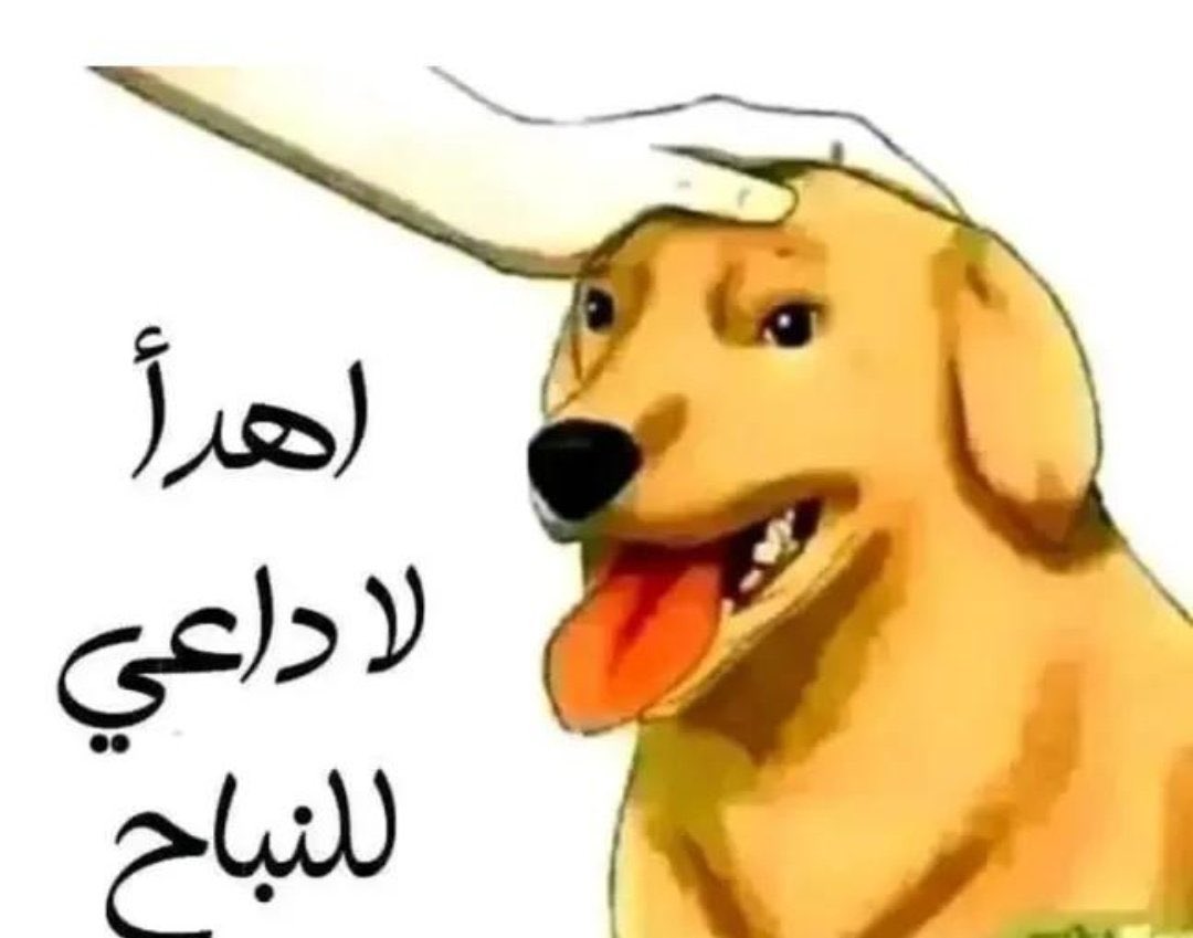 Dr. Mubarak 🏅 tweet media