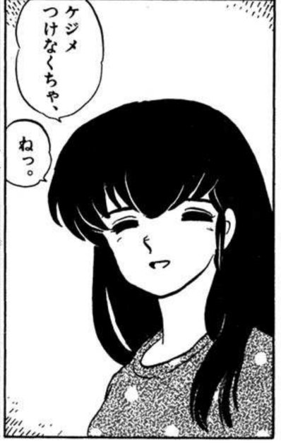 めぞん一刻
