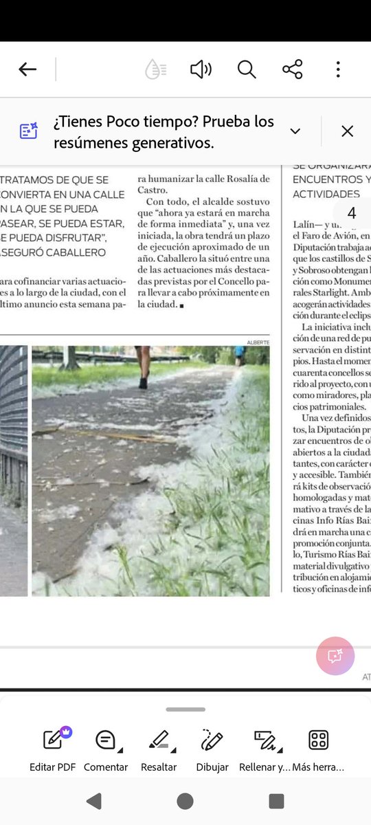 Vigoblog's tweet photo. @AtlanticoDiario corrixan esta noticia para informar con rigor. NON é polen: son sementes e NON son causa de alerxia.
https://t.co/3qA3MyLV7D https://t.co/1OgRZVuUmF
