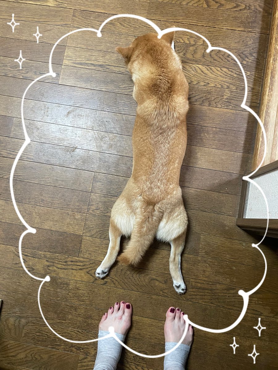 もぐもぐさん。 tweet media