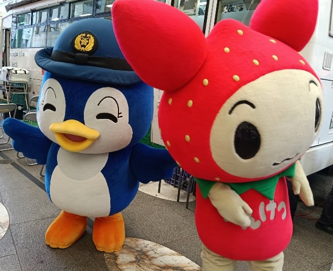 高山あくあ tweet media