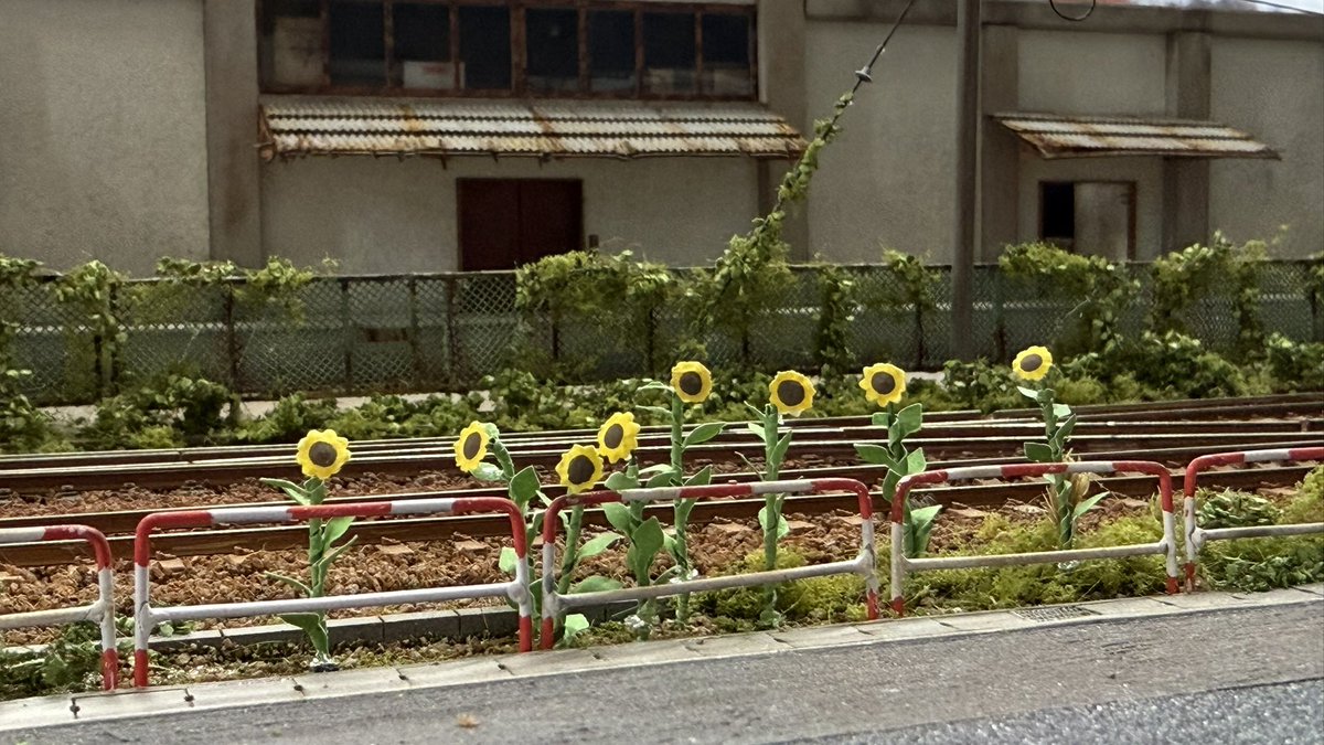 b9GpApl2OkWanjb's tweet image. ひまわり🌻と貨物

 #KCR西宮 
#HO
 #鉄道模型