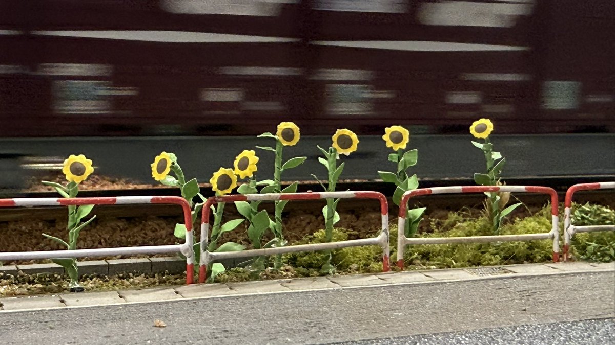 b9GpApl2OkWanjb's tweet image. ひまわり🌻と貨物

 #KCR西宮 
#HO
 #鉄道模型