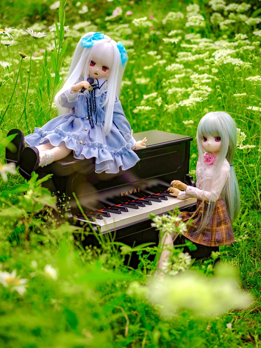 翠-Clochette୨୧Mélodie- tweet media