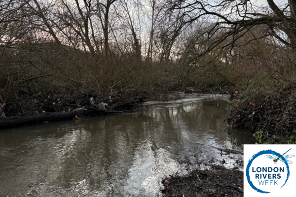Thames21 tweet media