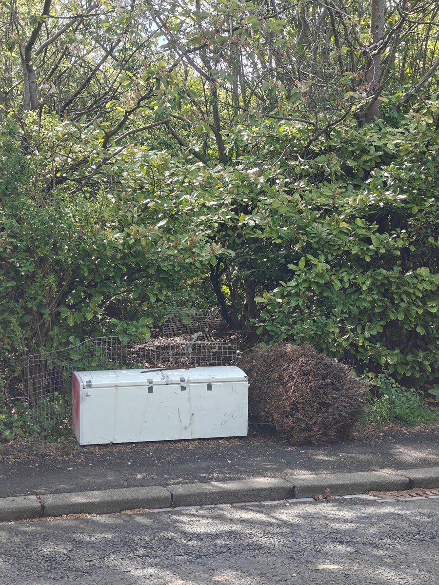 toomuchchoice's tweet image. Out with the gang on a lovely morning ☀️🌻🚮🗑️#lovewhereyoulive #tidyminds