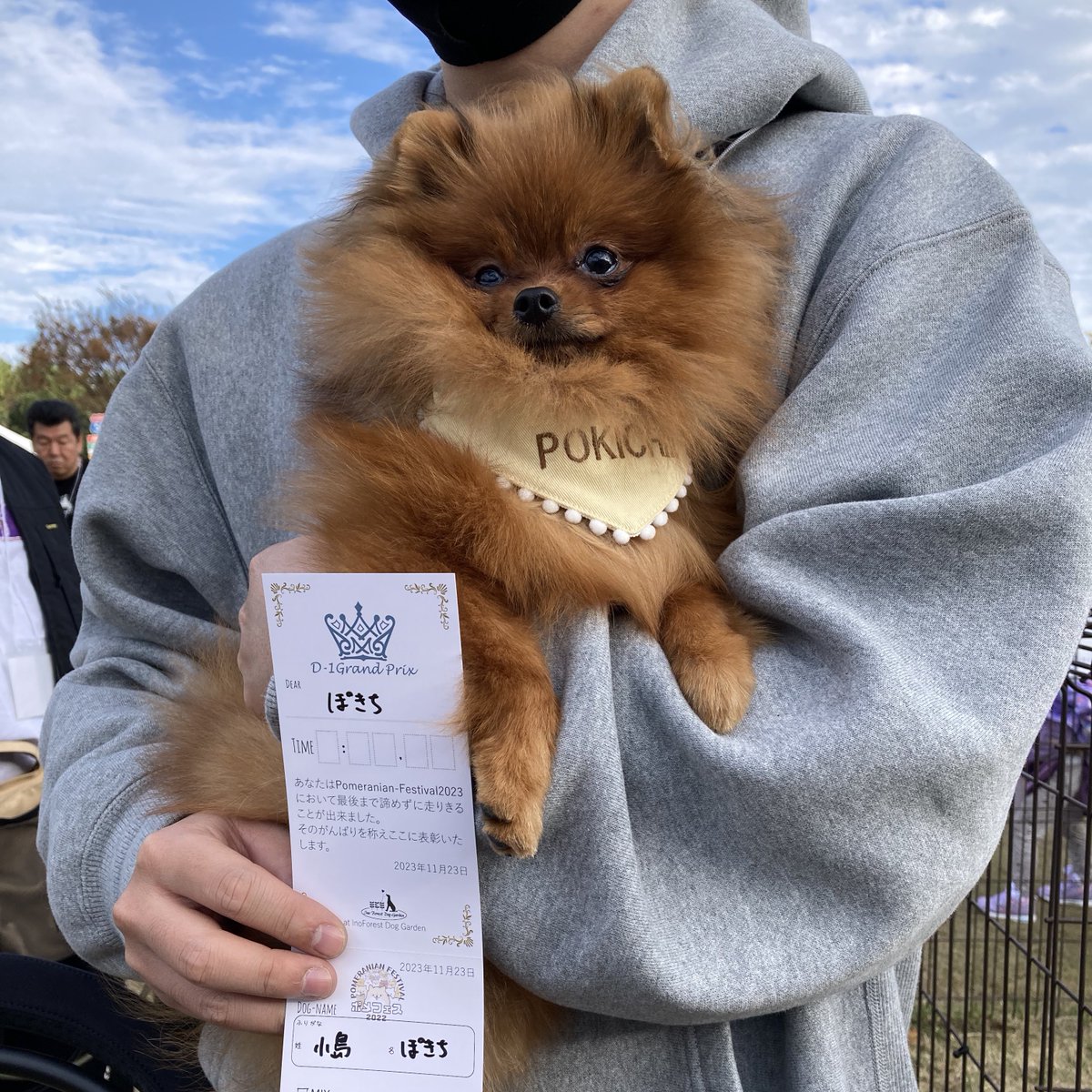 tanunpo's tweet image. パピーの時のぽきち🐻
#ポメラニアン #pomeranian