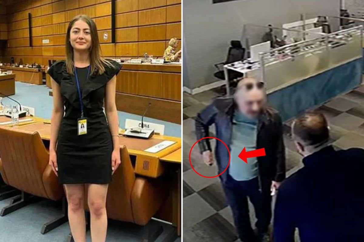 SON TV tweet media