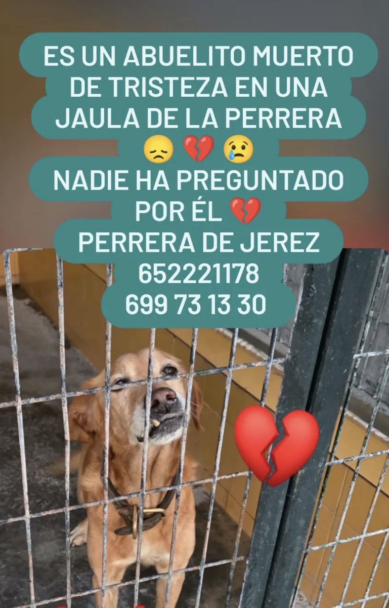 Ana Di Zacco tweet media