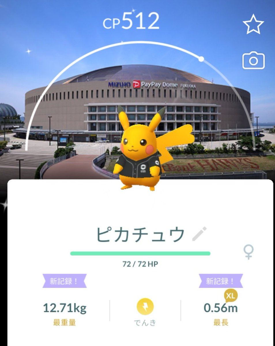 いのくち。 tweet media