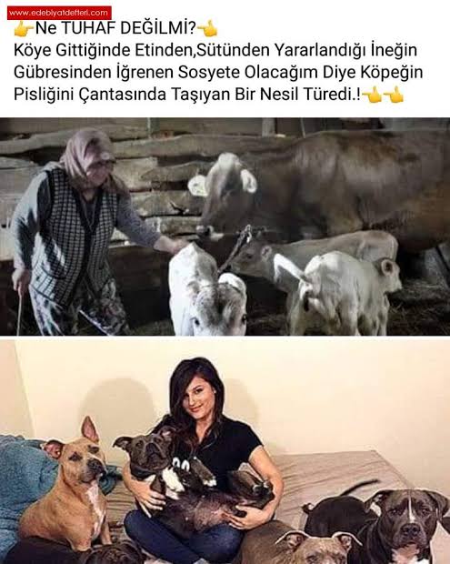Bozoklar_19 tweet media