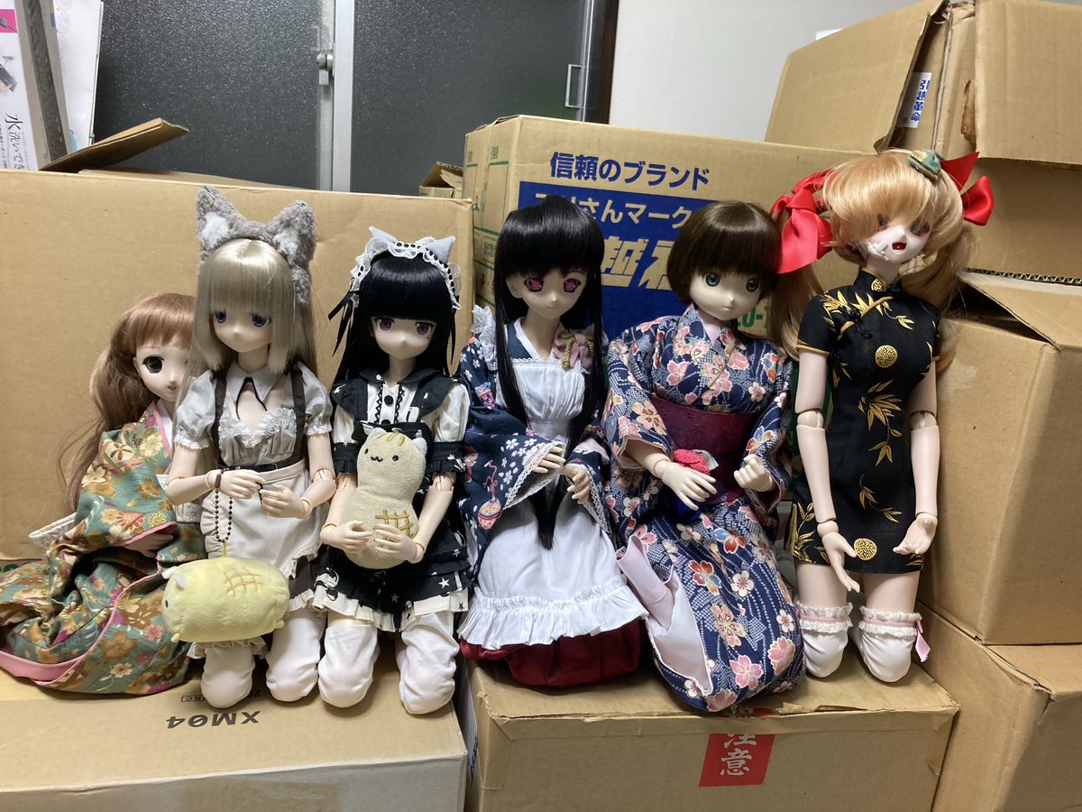 どん tweet media