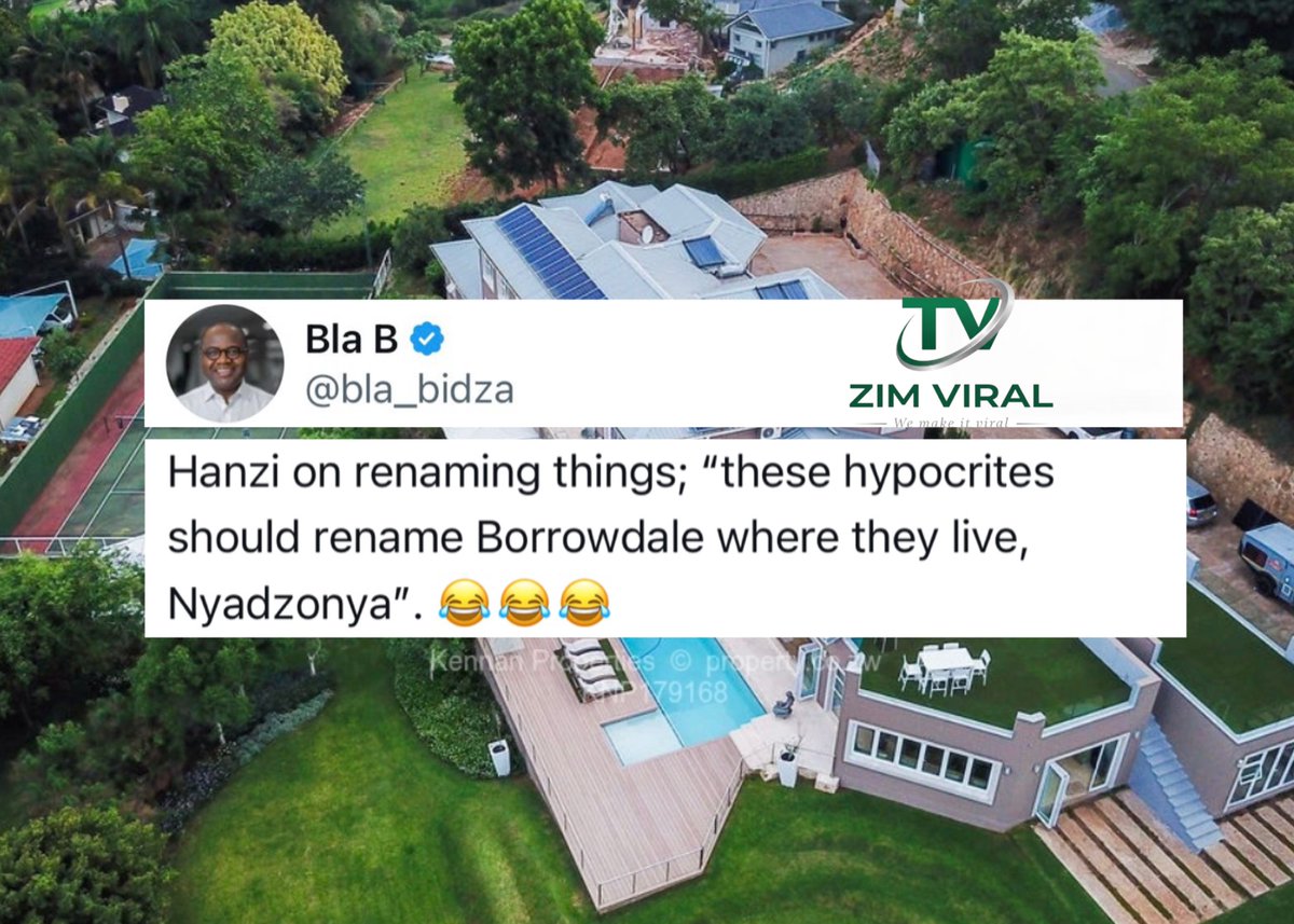 Zimviral 𝕏 tweet media