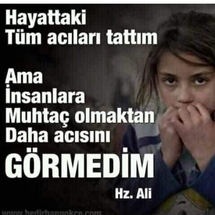 YAKAMOZ (672) tweet media
