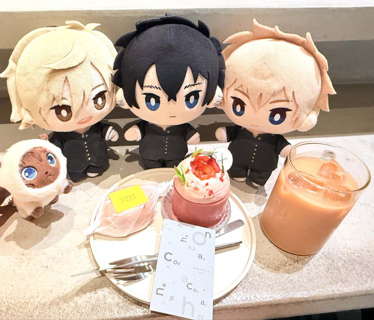 しおみん🐰🍮 tweet media