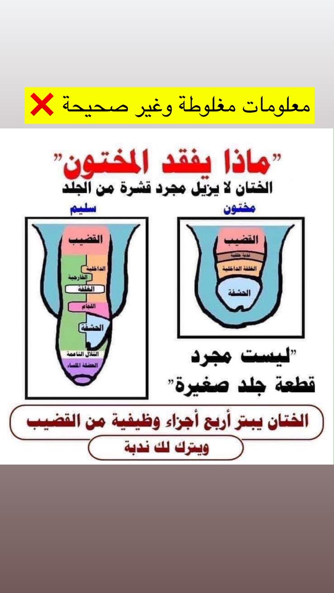 د. أنور الحمادي tweet media