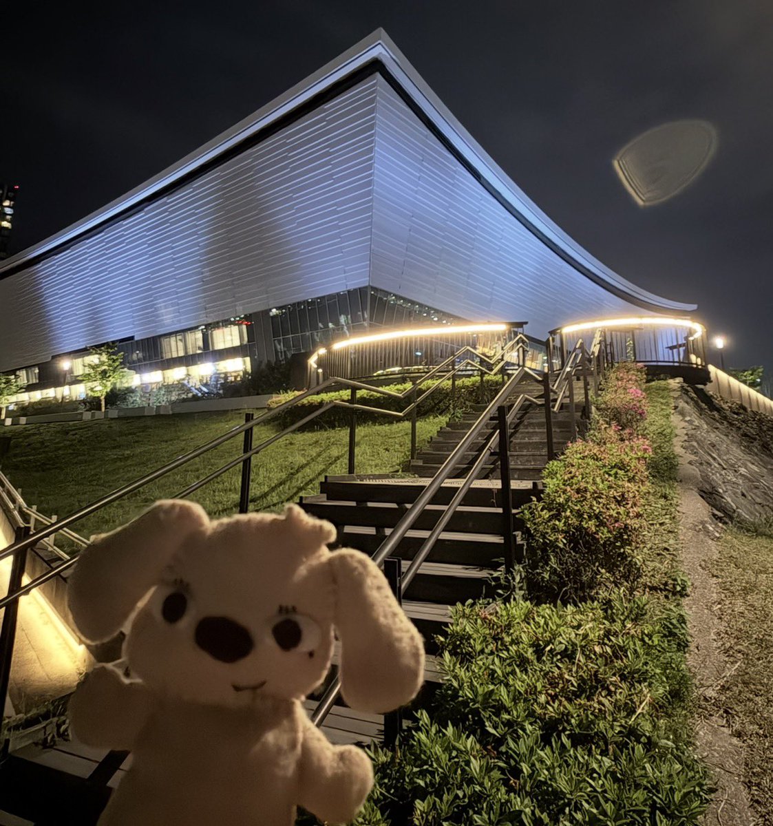 digitaliwan's tweet image. Wan more night, Feel my fate ♪
Wan more night, Trust me again ♪

#TMNETWORK
#FANKS
#QUANTUM
#有明アリーナ

#Digitaliwan 
#でじたりワン