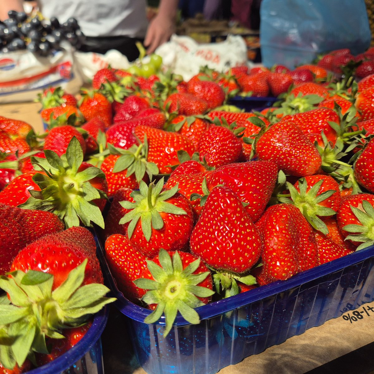 GrubisicDinka's tweet photo. Jedva čekam Purgerice u kvartu..❤️🍓
#subota https://t.co/2rwYhBqOBu